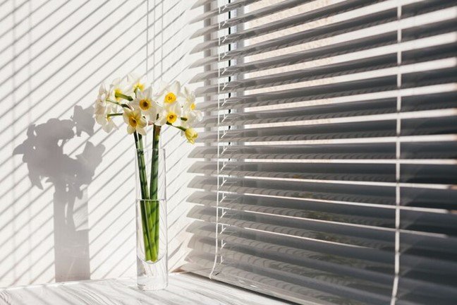 Blinds vs. Shades
